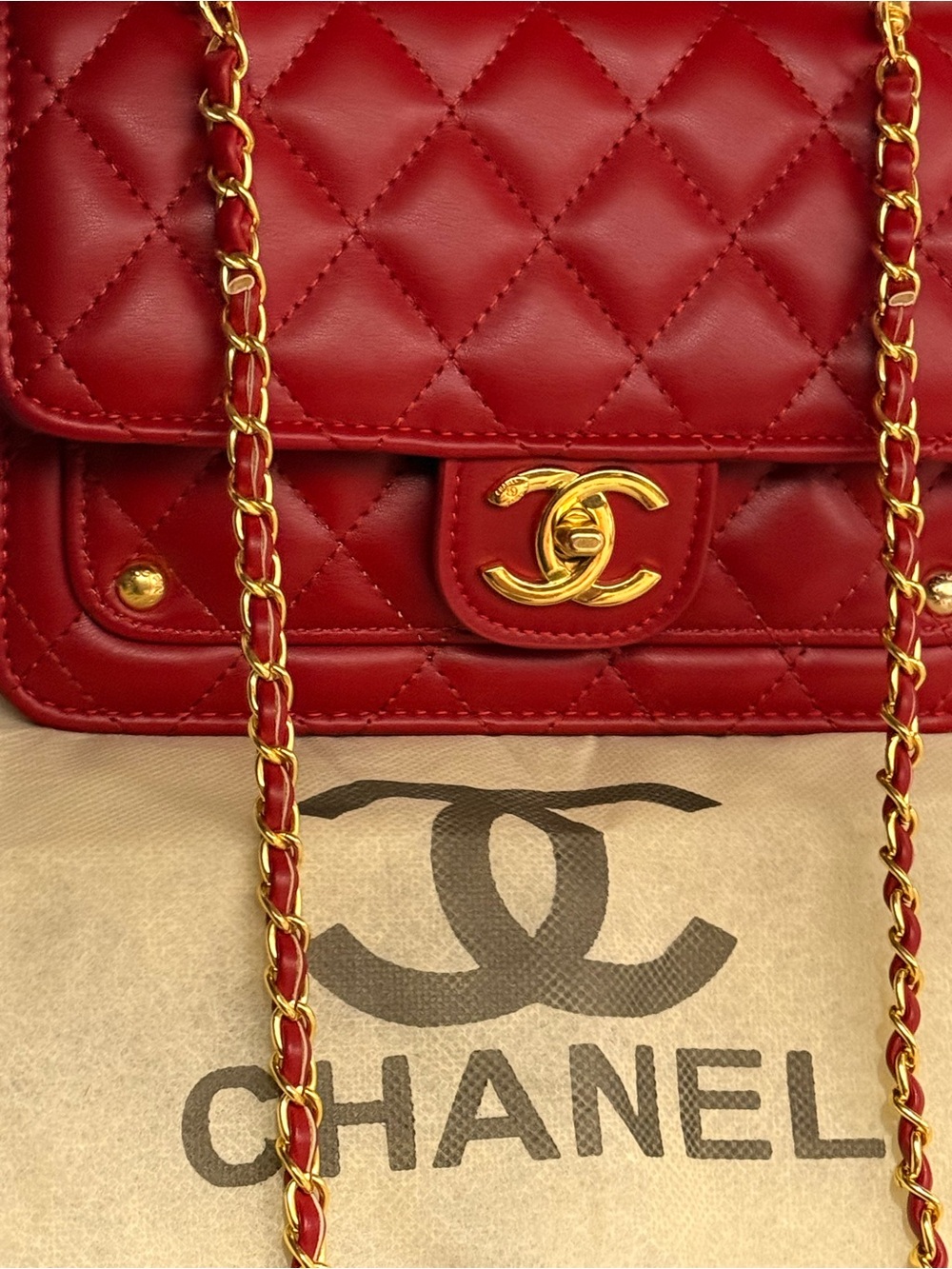 MINI LUXURY BAG - Picture 6 of 16